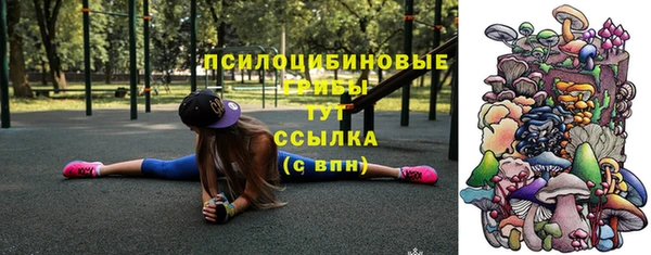 молекула духа Куйбышев