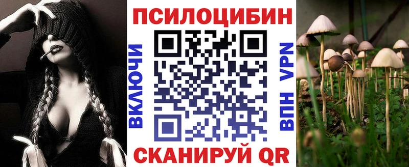 Купить закладки  Донской  Псилоцибиновые грибы MAGIC MUSHROOMS 